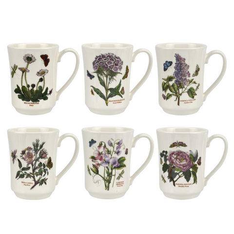 Portmeirion Botanic Garden Flared Tankard, Set of 6